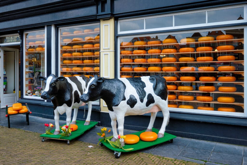 De Buren alkmaar